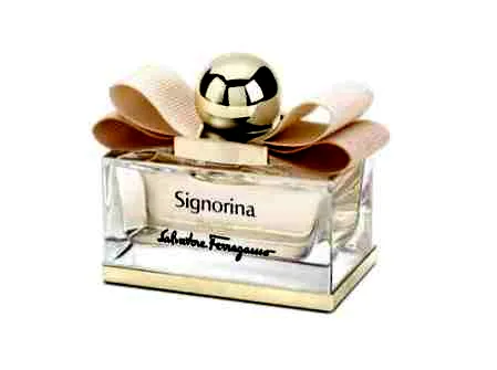 Anja Rubik代言菲拉格慕Signorina Eleganza新款女士香