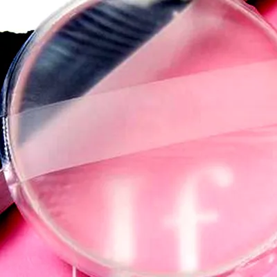 硅胶粉扑的薄膜怎么撕开​ 硅胶粉扑的优点和缺点