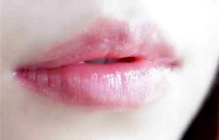 2.webp