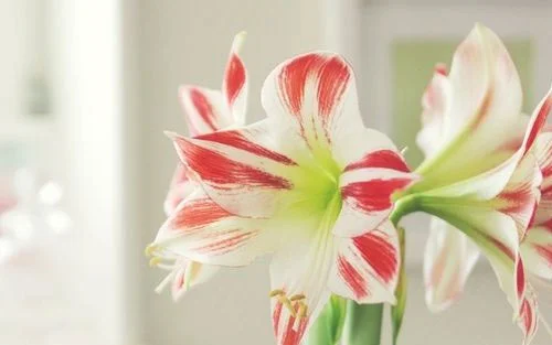 怎么做好服装设计师