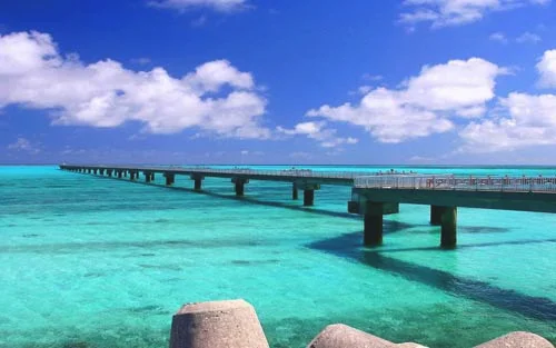 如何绘制服装设计效果图