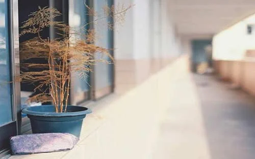 如何学好服装设计