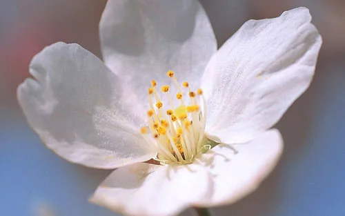 怎样学会搭配自己的衣服