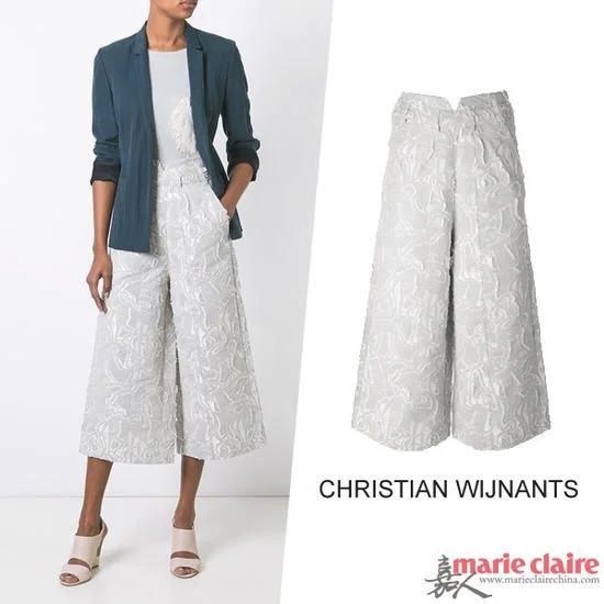 Christian Wijnants