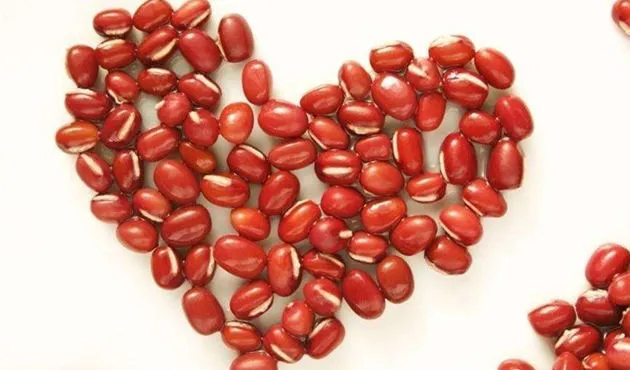 红豆的功效与作用、用法用量及禁忌