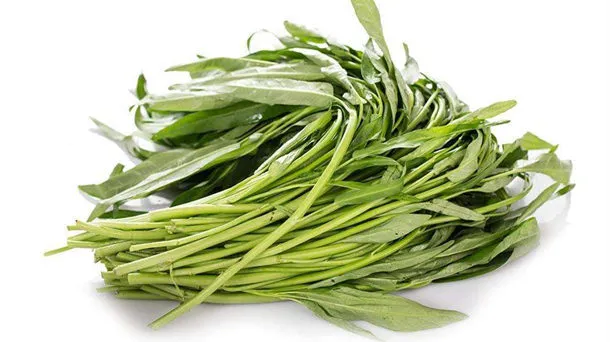 蕹菜的营养价值及功效与作用