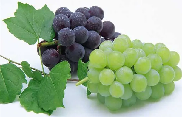 葡萄的功效与作用及营养价值、禁忌