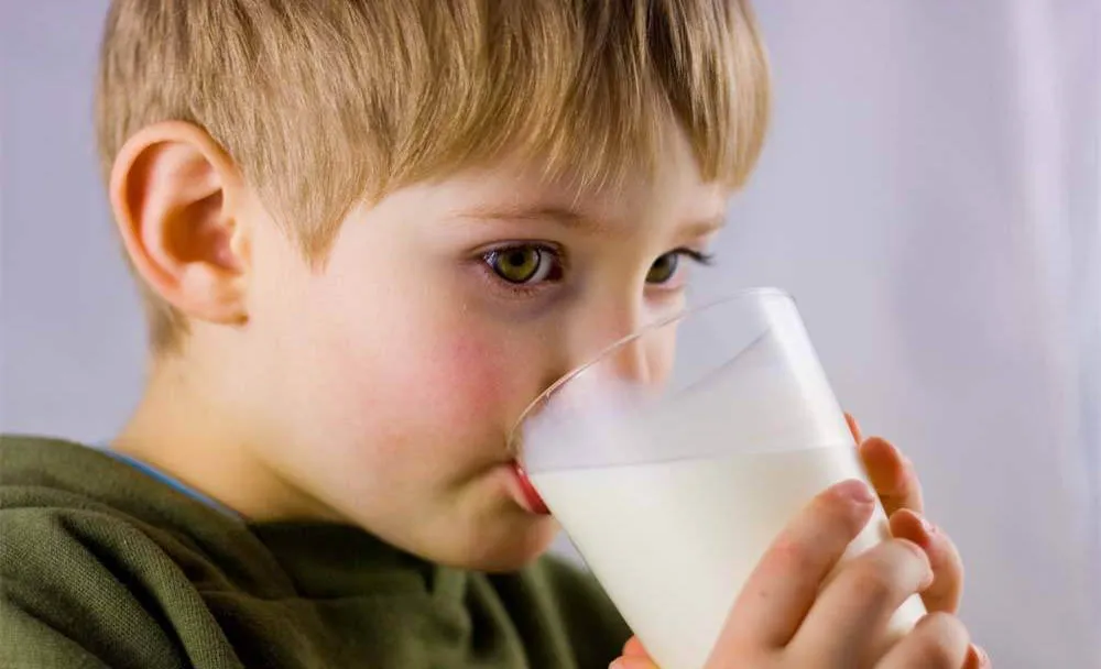 牛初乳的功效与作用及营养价值、禁忌