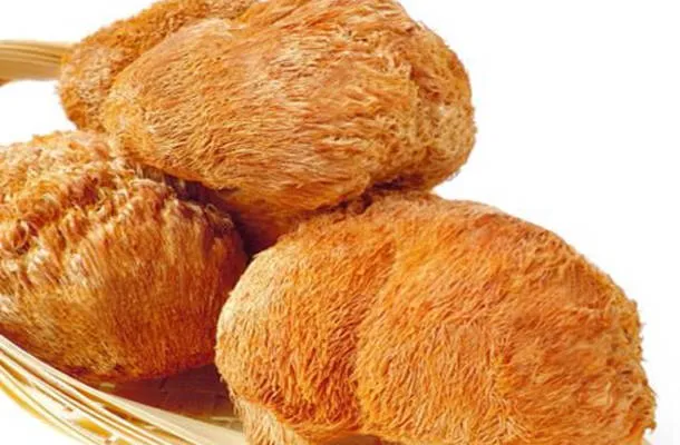 猴头菌的营养价值及功效与作用