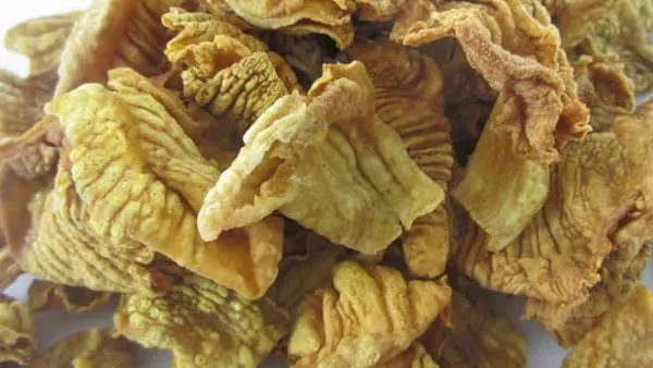 鸡胗皮的功效与作用及禁忌