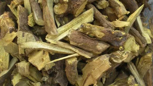 三棵针的功效与作用及禁忌
