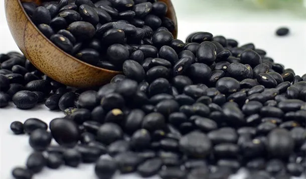 黑豆的功效与作用及副作用、禁忌