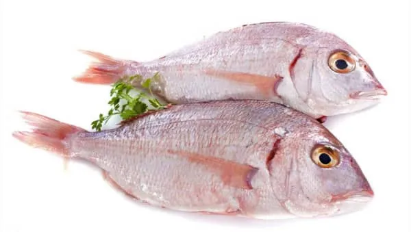 鲷鱼的营养价值及功效与作用