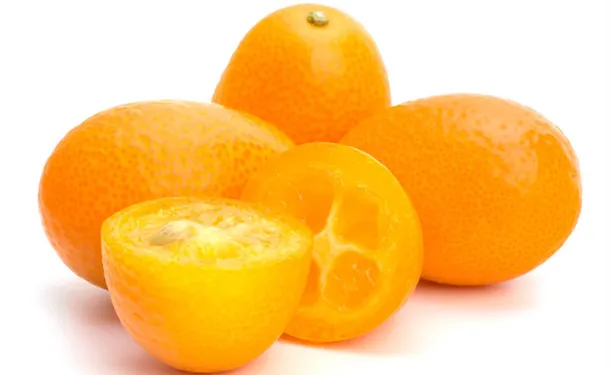 金橘的营养价值及功效与作用
