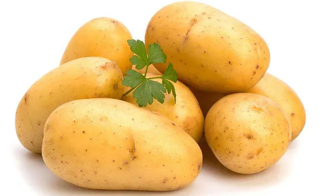 马铃薯的功效与作用及营养价值、禁忌