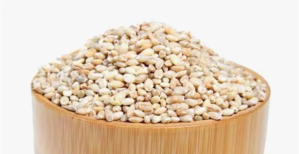 青稞的营养价值及功效与作用、禁忌