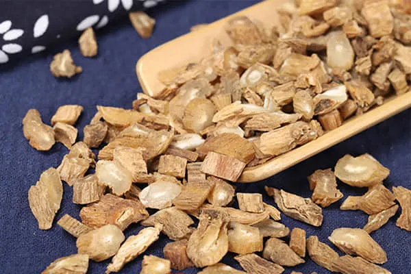 百部的功效与作用、用法用量及禁忌