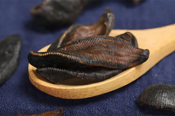 水蛭的功效与作用