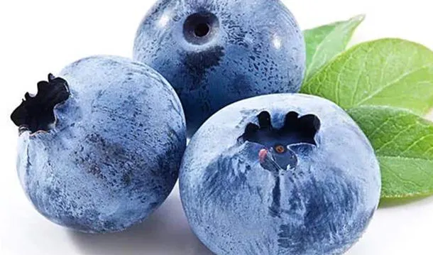 蓝莓的功效与作用及营养价值