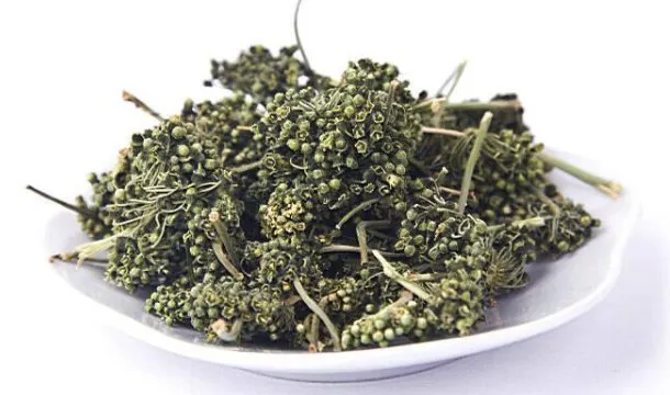 参花茶的功效与作用及禁忌