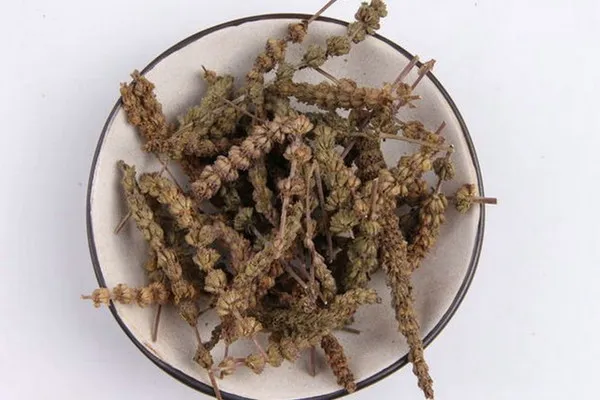 荆芥穗的功效与作用及禁忌