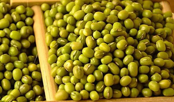 青小豆的功效与作用及营养价值、禁忌