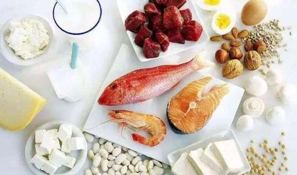 蛋白质的主要食物来源