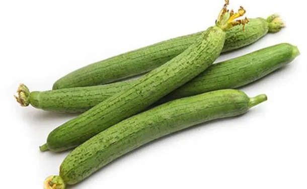 丝瓜的功效与作用及营养价值