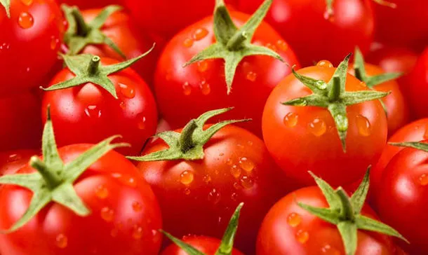 番茄的功效与作用及禁忌