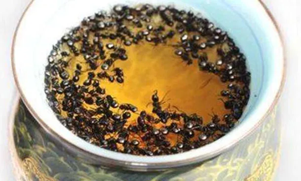 黑蚂蚁酒的作用与功效