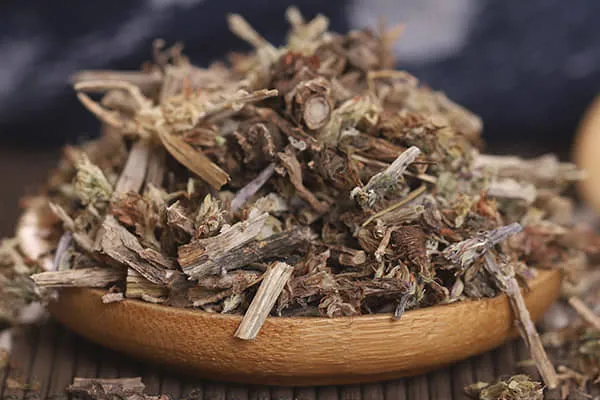 瓦松的功效与作用