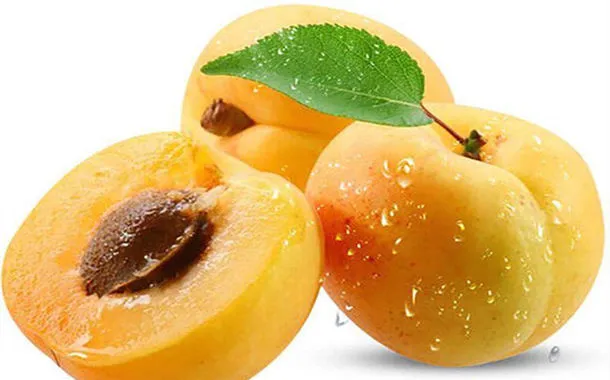 杏子的功效与作用及药用价值、禁忌
