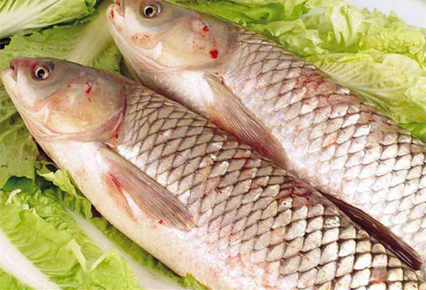 草鱼的营养价值和功效与作用、禁忌