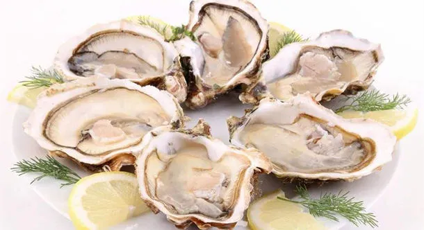 生牡蛎的功效与作用及食用方法
