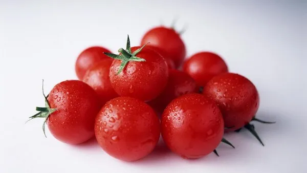 小番茄的功效与作用及禁忌