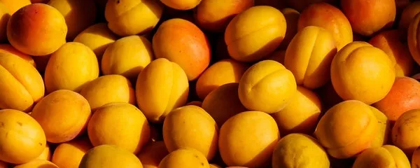 杏子的营养价值及功效