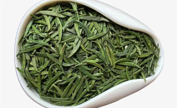 竹叶青茶的功效与作用及冲泡方法