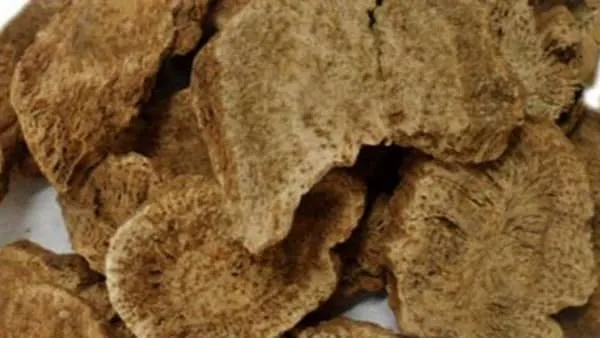 云木香的功效与作用及禁忌