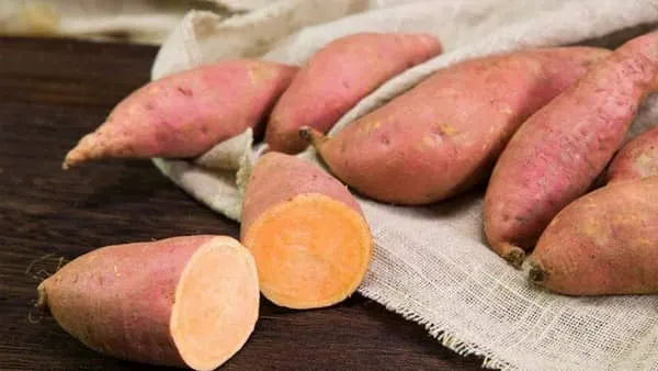 吃生红薯的功效与作用及禁忌
