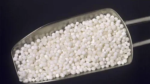 西米的功效与作用及禁忌