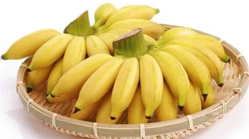 米蕉的功效与作用及禁忌