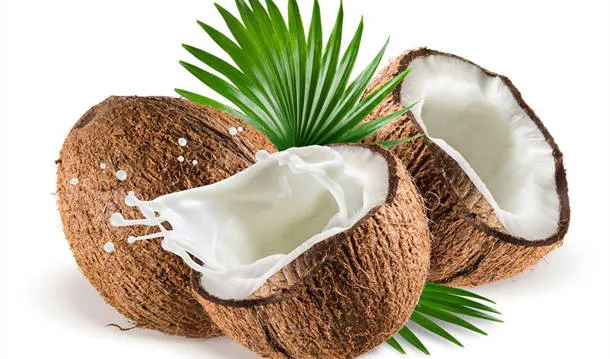 椰子浆的功效与作用及禁忌