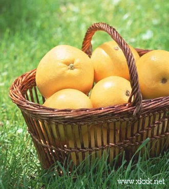 秋季吃柚子速效减肥更养颜