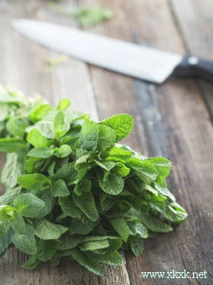 薄荷DIY瘦身食谱 十天甩掉7斤肉