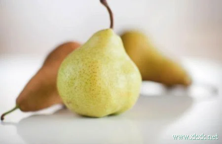 冬季最佳排毒减肥法 大公开!