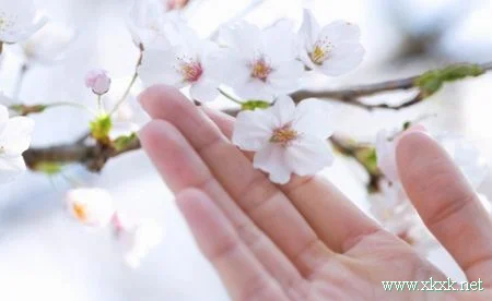 冬季最佳排毒减肥法 大公开!