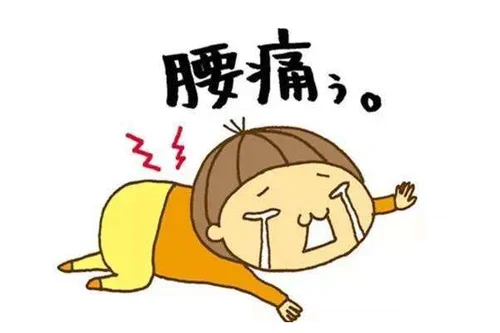 53.webp