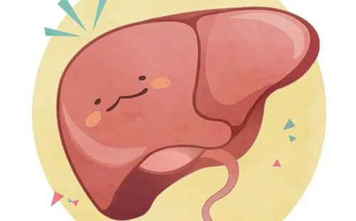脂肪肝是什么病 脂肪肝有那些病因