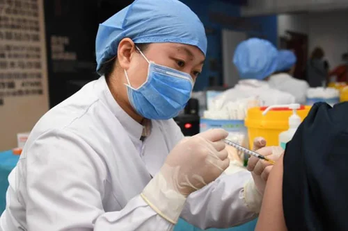 武汉市狂犬疫苗接种门诊电话一览
