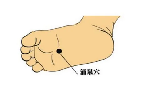 7.webp